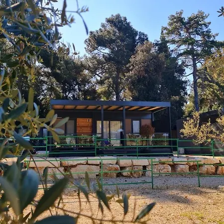 Mobile Dream , Camp Porton Biondi-
