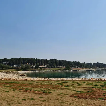 Mobile Dream , Camp Porton Biondi-